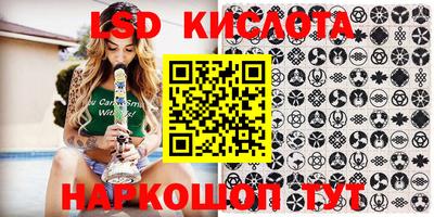 шишки Коммунар