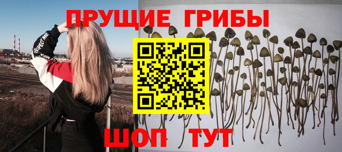 Галлюциногенные грибы ЛСД  Вход с VPN  Белорецк 